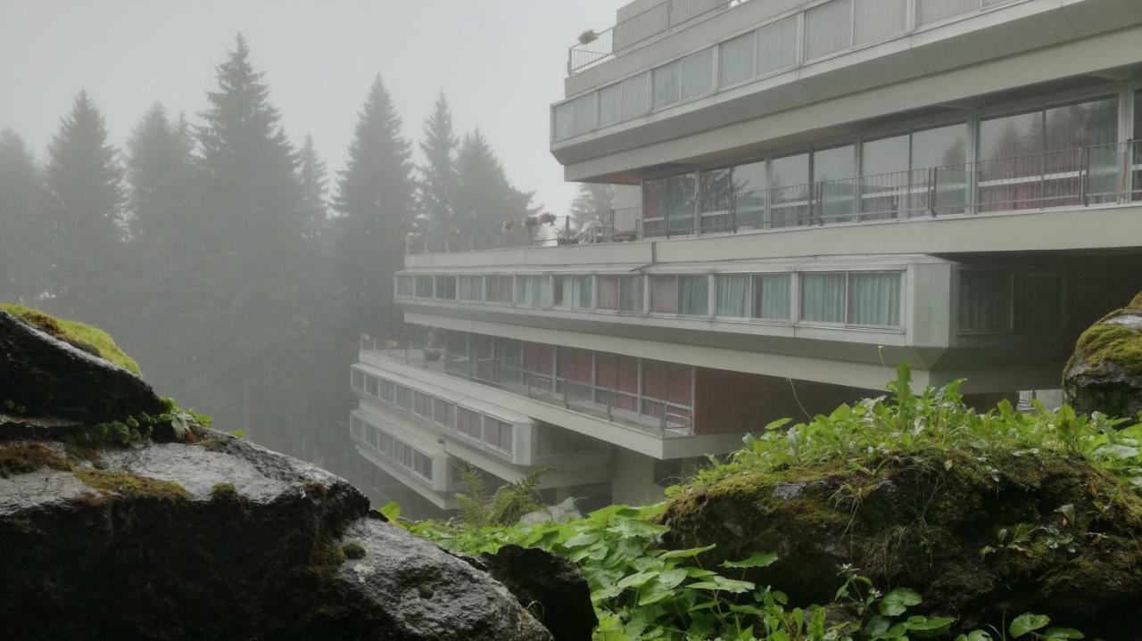 Appartamento VentiSei - CIPAT 22114 Marilleva Esterno foto